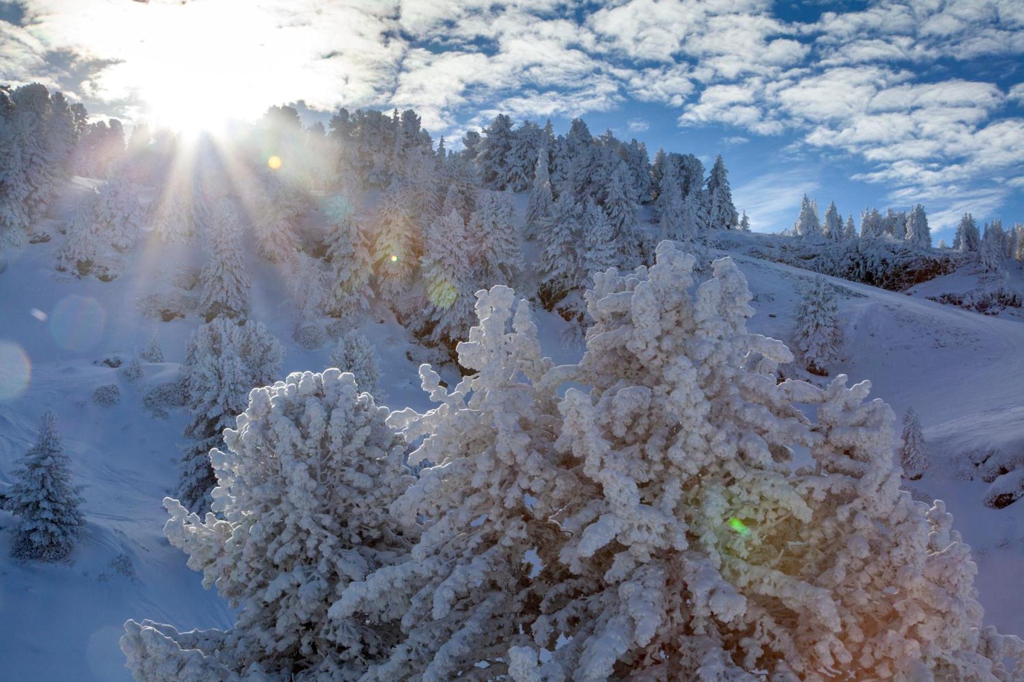 Studio, 2 Personnes, Les Balcons De Recoin Chamrousse Ngoại thất bức ảnh